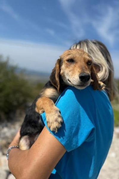 Senta zarte Entdeckerin möchte ankommen