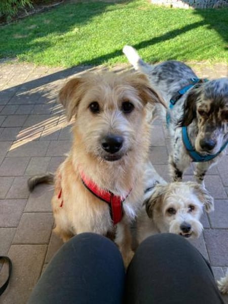 Nirveli sucht ihre Menschen