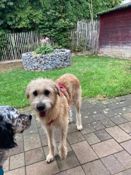 Nirveli sucht ihre Menschen