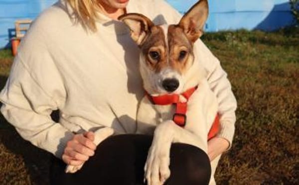 Wer schenkt Daria das Glück?