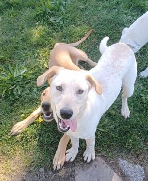 SOLE 💙💙💙 MÖCHTE IHR HERZ EROBERN