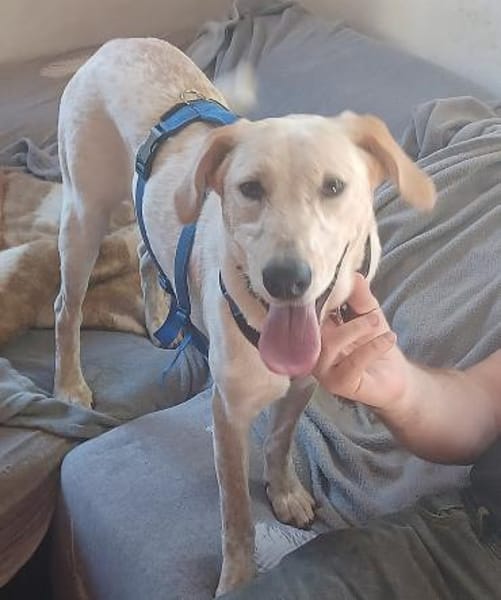 SOLE 💙💙💙 MÖCHTE IHR HERZ EROBERN