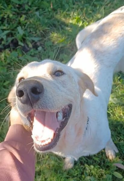 SOLE 💙💙💙 MÖCHTE IHR HERZ EROBERN