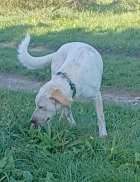 SOLE 💙💙💙 MÖCHTE IHR HERZ EROBERN