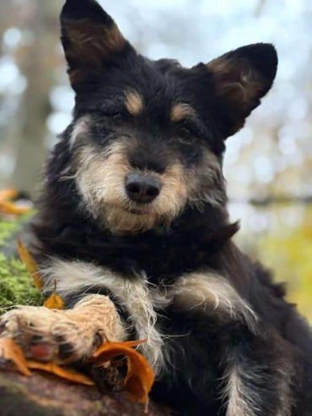 liebevolle Cara sucht ihre Familie