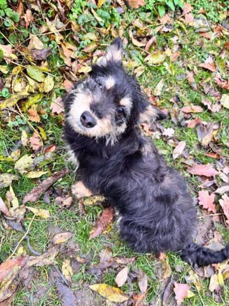 liebevolle Cara sucht ihre Familie