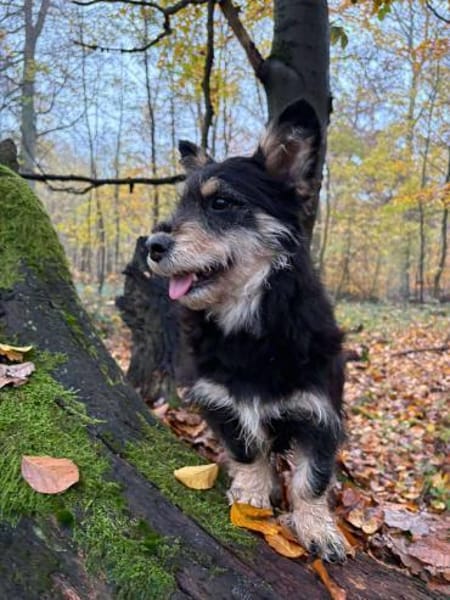 liebevolle Cara sucht ihre Familie