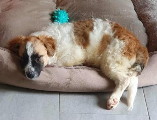 Quando wartet auf netten Besuch!