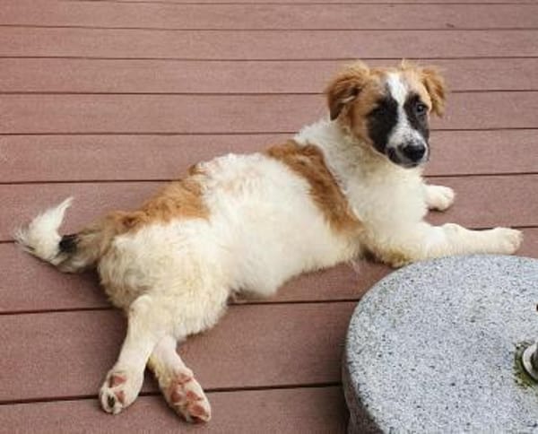 Quando wartet auf netten Besuch!