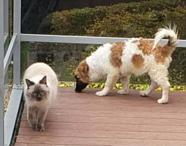 Quando wartet auf netten Besuch!