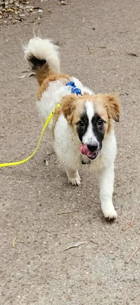 Quando wartet auf netten Besuch!