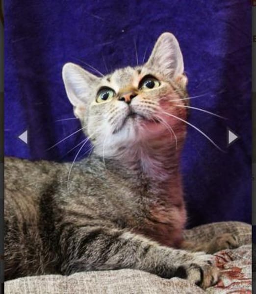 Ursula, anfangs noch schüchtern