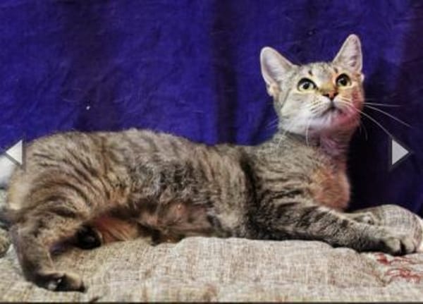 Ursula, anfangs noch schüchtern