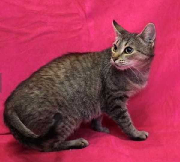 Ursula, anfangs noch schüchtern