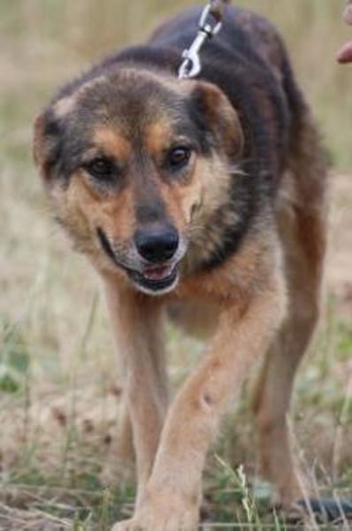 Samicah - kinderlieb u. unkompliziert