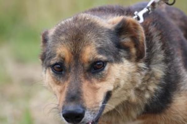 Samicah - kinderlieb u. unkompliziert