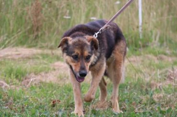 Samicah - kinderlieb u. unkompliziert