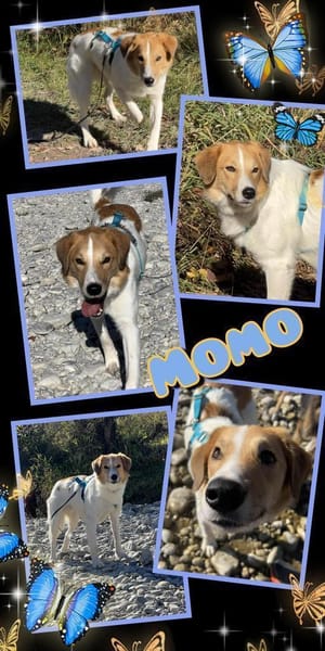 Momo wartet in München!