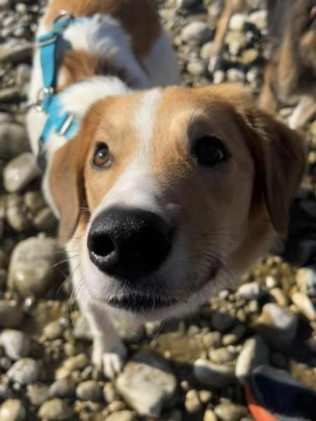 Momo wartet in München!