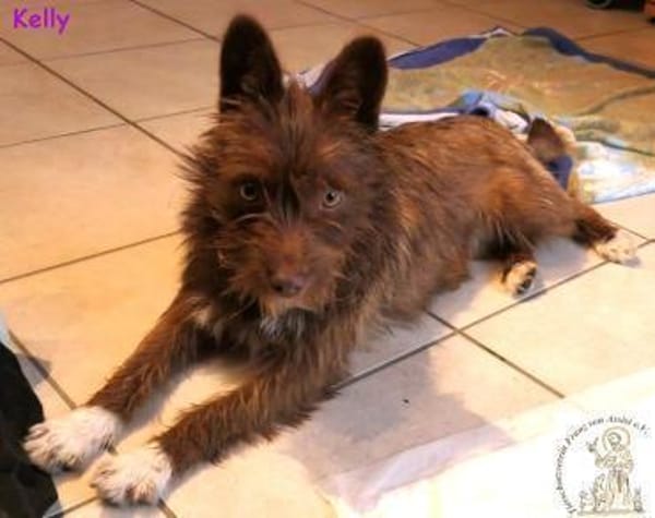 Kelly   die Frohnatur