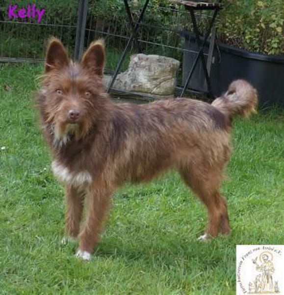 Kelly   die Frohnatur