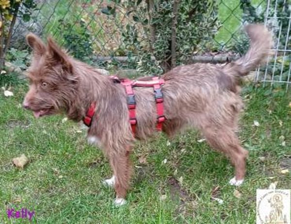 Kelly   die Frohnatur