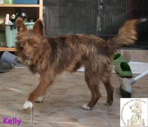 Kelly   die Frohnatur