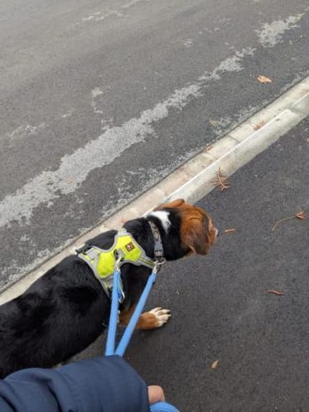 Aron  Manchmal braucht Glück einen Name