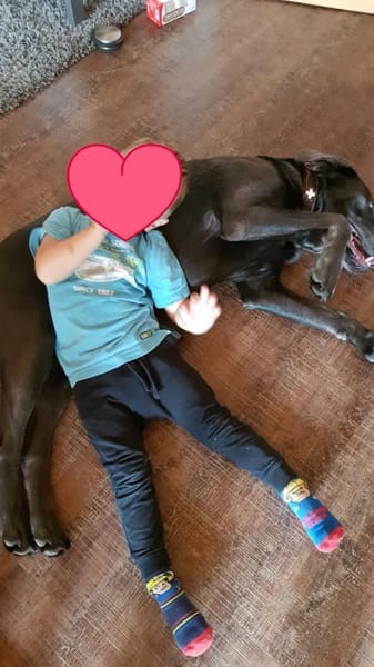 Bandit - Hundekenner aufgepasst!