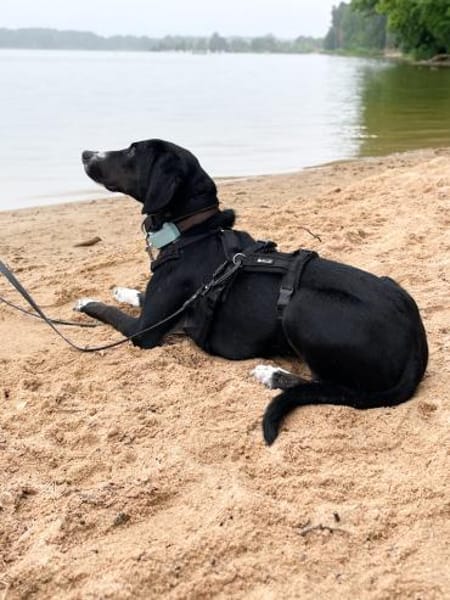 Dua wartet auf ihre eigene Familie