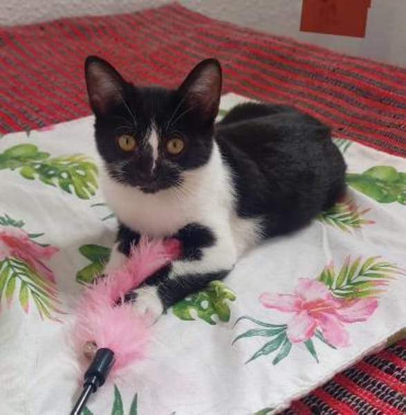 Lustige Penny bei München (ALO)