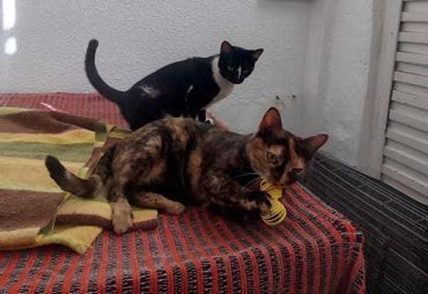 Lustige Penny bei München (ALO)