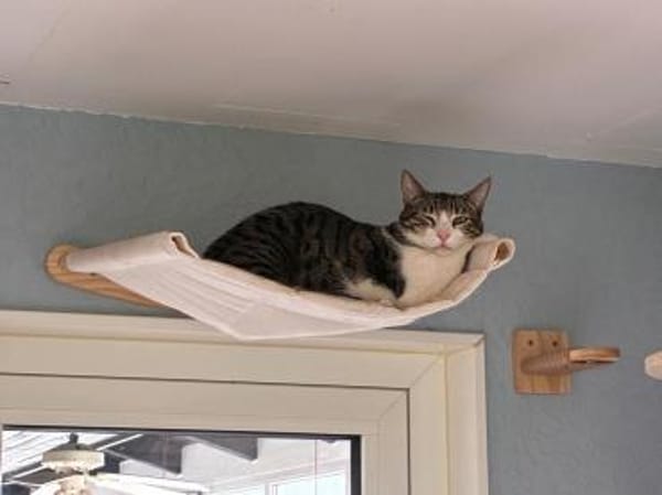 Zurückhaltender Saw in Heusweiler (ALM)