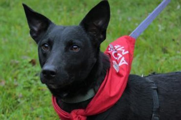 Schnuckel THEOwartet in 18249 Bernitt