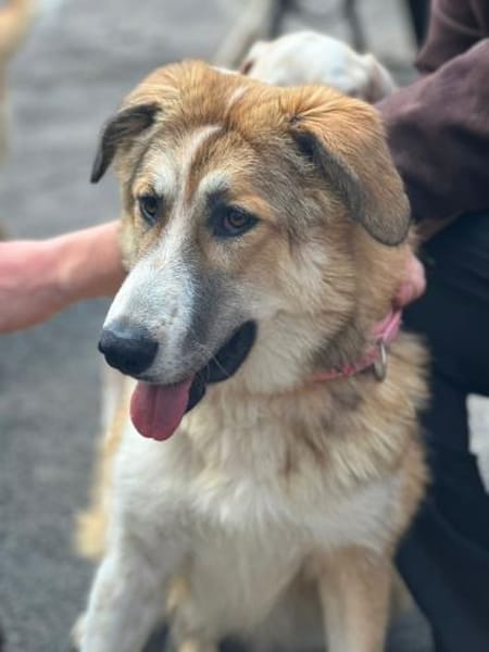 LUCKY, wo bleibt ihr persönliches Glück?