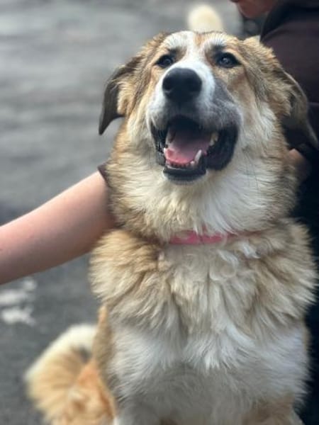 LUCKY, wo bleibt ihr persönliches Glück?