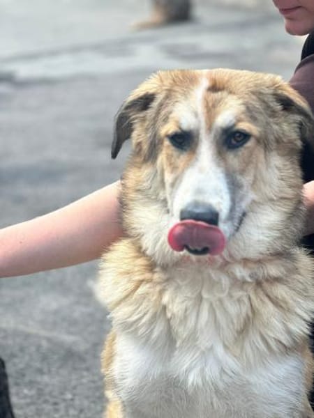 LUCKY, wo bleibt ihr persönliches Glück?