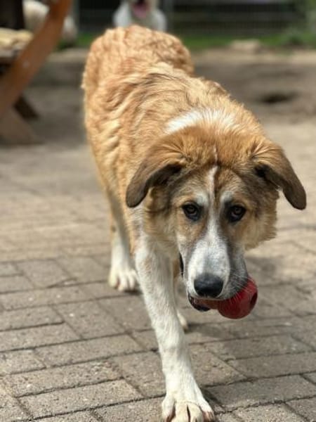 LUCKY, wo bleibt ihr persönliches Glück?
