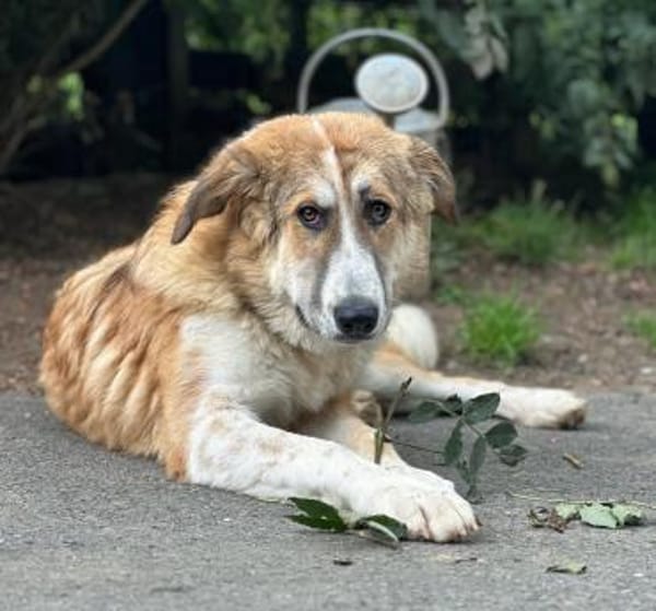 LUCKY, wo bleibt ihr persönliches Glück?