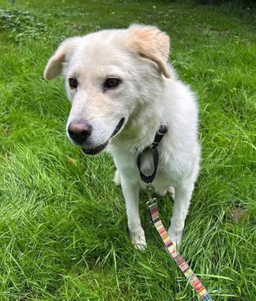 MARLON - hofft auf eine eigene Familie