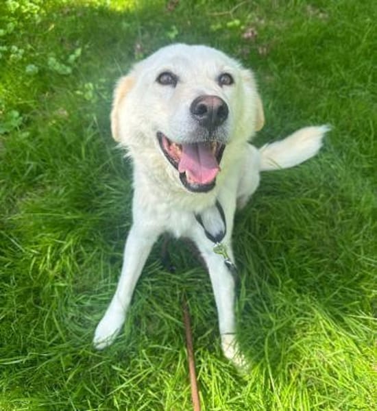 MARLON - hofft auf eine eigene Familie