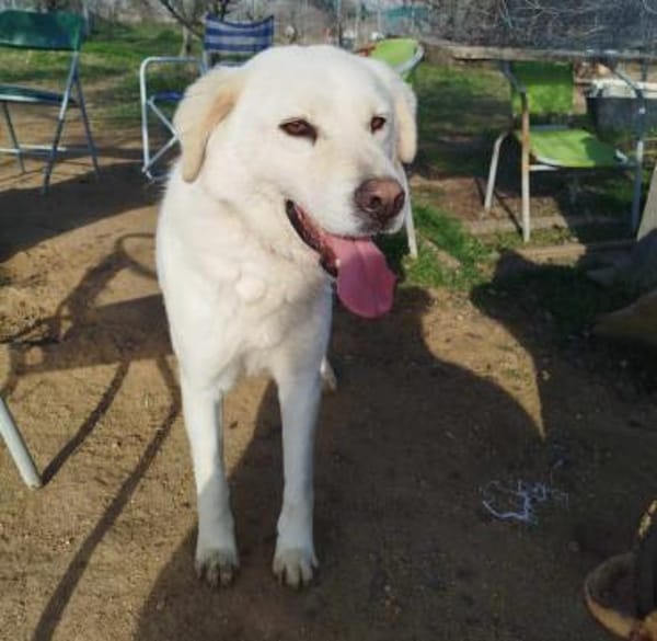 MARLON - hofft auf eine eigene Familie