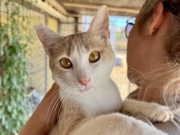 Eggi,liebevollerWirbelwind, 1J in 83064