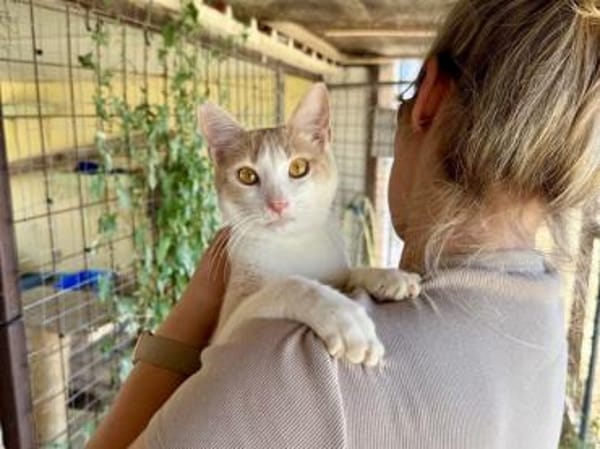 Eggi,liebevollerWirbelwind, 1J in 83064