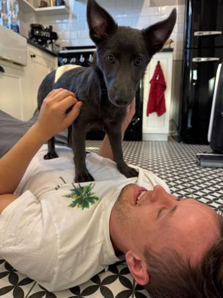 Tina, aktive Welpendame, ca. 6 M 72760