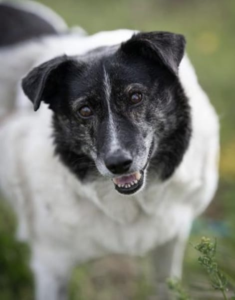 Ginny sucht ihre Familie