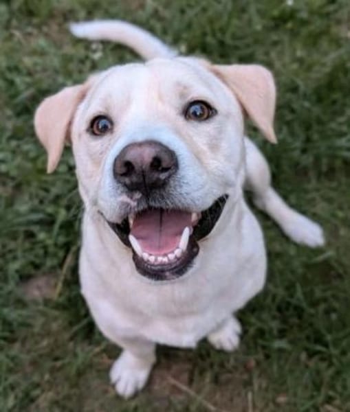 Powerpaket sucht seine Familie