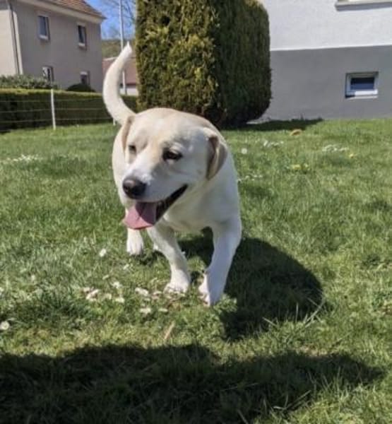 Powerpaket sucht seine Familie