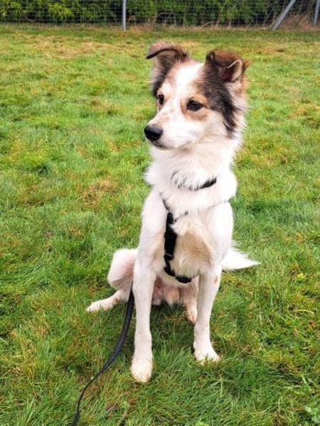 Luca sucht seine Familie