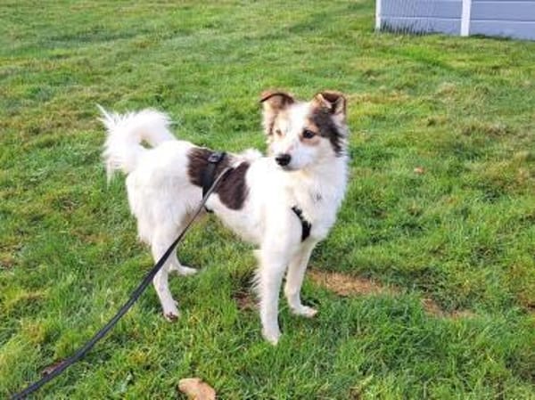 Luca sucht seine Familie